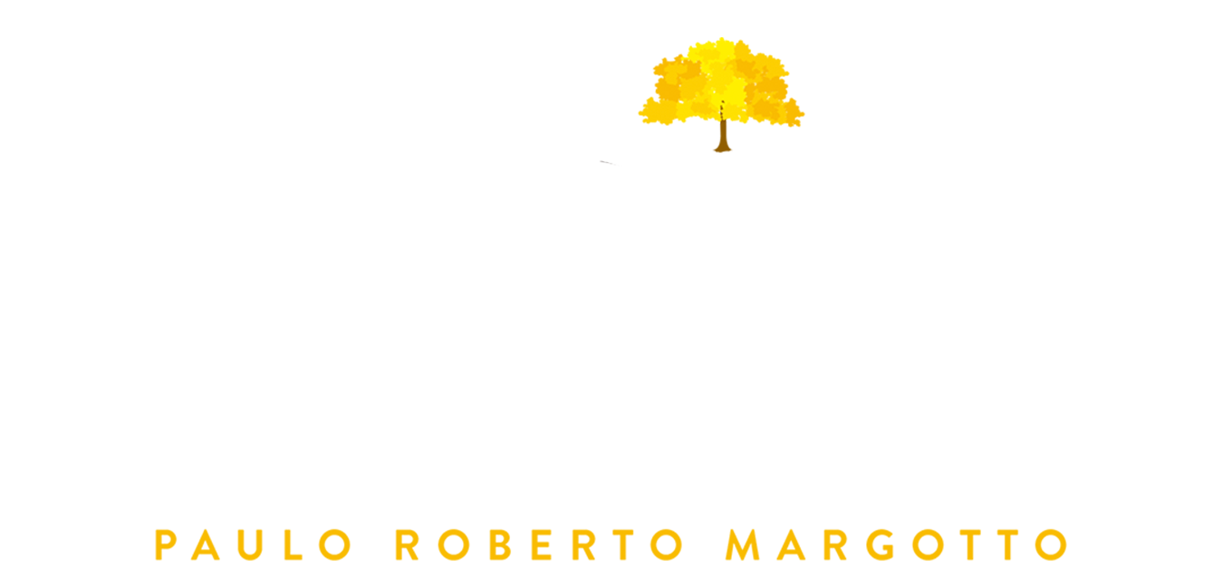 Logo da IPN em branco